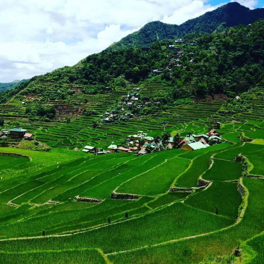 Batad Rita'S Mount View Inn And Restaurant Banaue Dış mekan fotoğraf